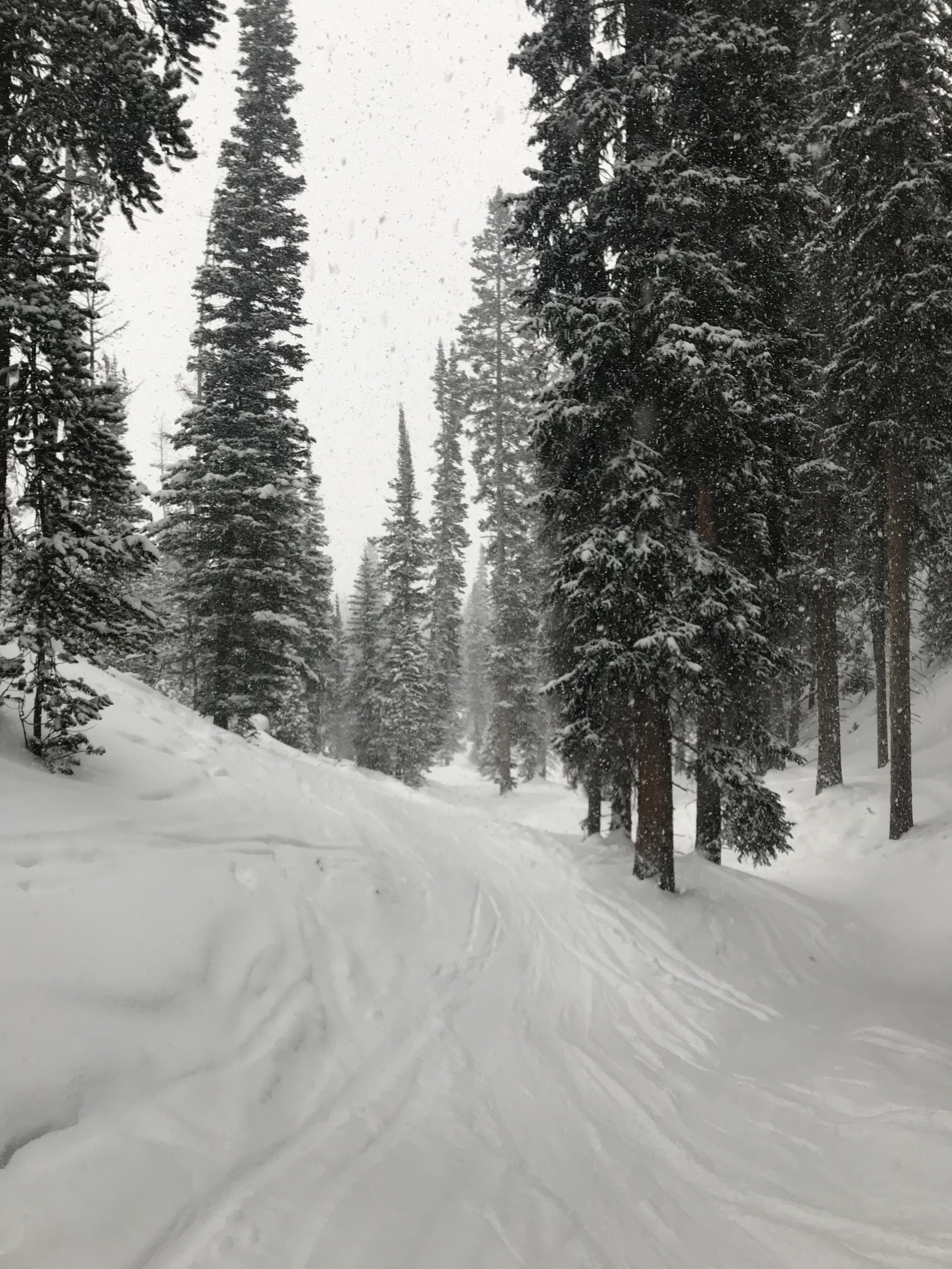 Tree skiing big sky Montana